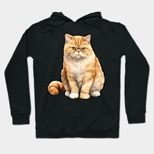 Exotic Shorthair Cat Hoodie